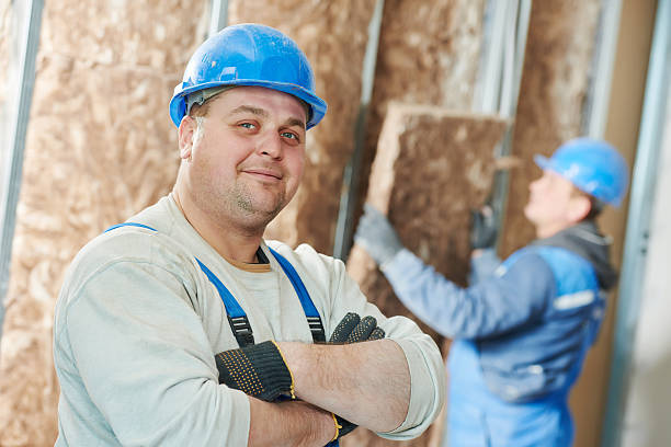 Best Insulation Installation Services in Braidwood, IL