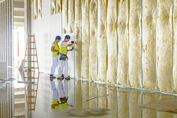 Best Types of Insulation in Braidwood, IL